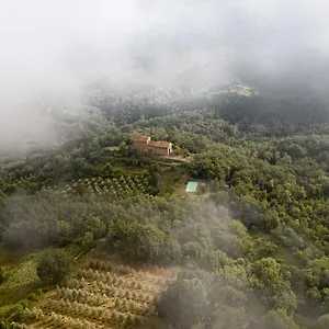  Alloggio per agriturismo Agriturismo Toscanna Italia